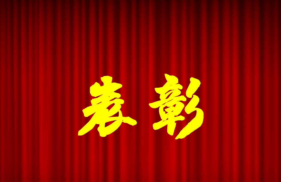 逐光前行、榮耀共鑒 | 公司2024年度表彰來(lái)啦！